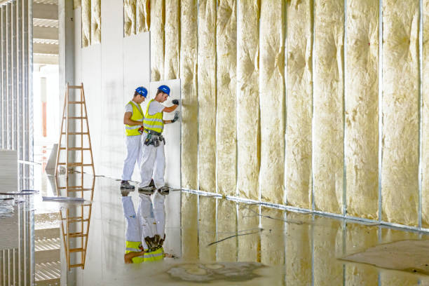 Best Commercial Insulation Services  in Trophy Clu, TX